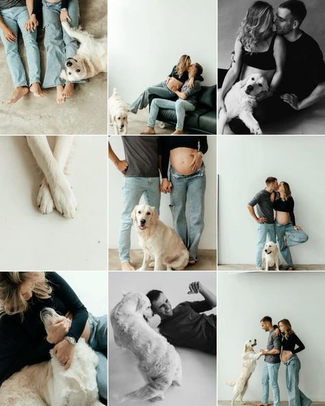 Dog And Bump Photos, Pregnant Announcement With Dog, Maternity Photo Shoot Ideas With Pets, Winter Maternity Photoshoot With Dog, Studio Maternity Photos With Dog, Casual Maternity Pictures With Dog, Maternity Shoot With Pets, Maternity Photography Couples Indoor, Maternity With Dog Photography