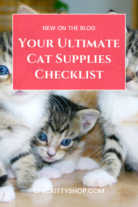 Your Ultimate Cat Supplies Checklist Healthy Cat, Owning A Cat, Happy And Healthy, Cat Supplies, Indoor Cat, Litter Box, Studio Apartment, Apartment Living, Things To Buy