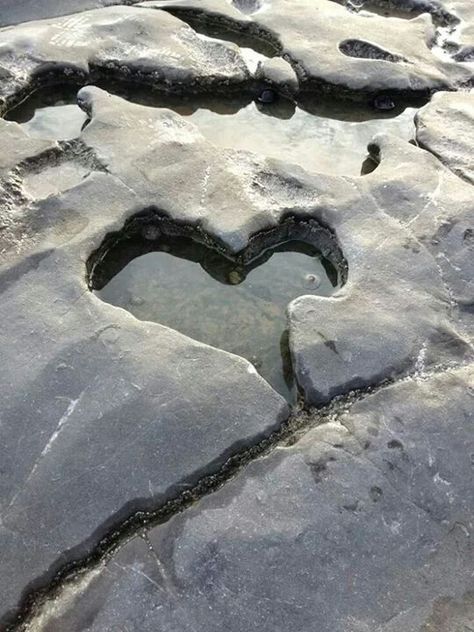 Love Heart Shaped Rocks, Heart In Nature, I Love Heart, Heart Images, Heart Pictures, Happy Heart, With All My Heart, Heart Soul, Felt Hearts