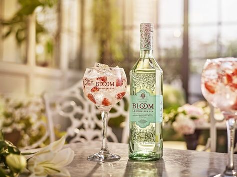 Discover the 8 Best Gin Cocktails and Simple Serves. either with a BLOOM Gin base and a mixer or go for broke with something a little more fancy. Bloom Gin, Grapefruit Lemonade, Gin Mixers, Gin And Lemonade, Best Gin Cocktails, Strawberry Gin, Classic Gin Cocktails, Gin Liqueur, Best Gin