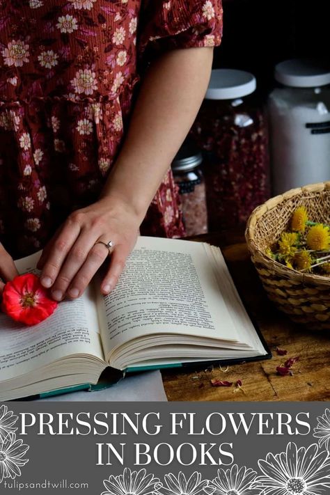 Press Flowers In A Book, Flowers In Books, Flower Press Book, Plant Press, Pressed Flowers Diy, Press Flowers, Pressing Flowers, Book Press, Pressed Flower Crafts