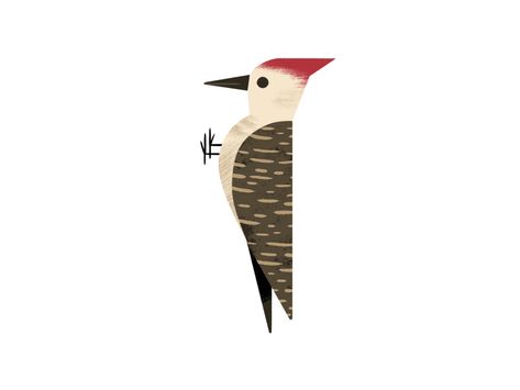 Animated woodpecker, Andrew Kolb Woodpecker Illustration, Woodpecker Art, Kids Deco, Animal Art Prints, Baby Illustration, Animation Artwork, Childrens Drawings, Baymax, Love Illustration