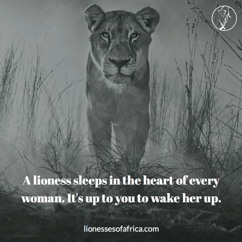 I Am A Lioness Quotes, Lioness Quotes Woman, Lion And Lioness Quotes, Lioness Quotes Woman Strength, Lioness Energy, Lion Heart Quotes, Lioness Woman, Lion And Woman, Lion Meaning