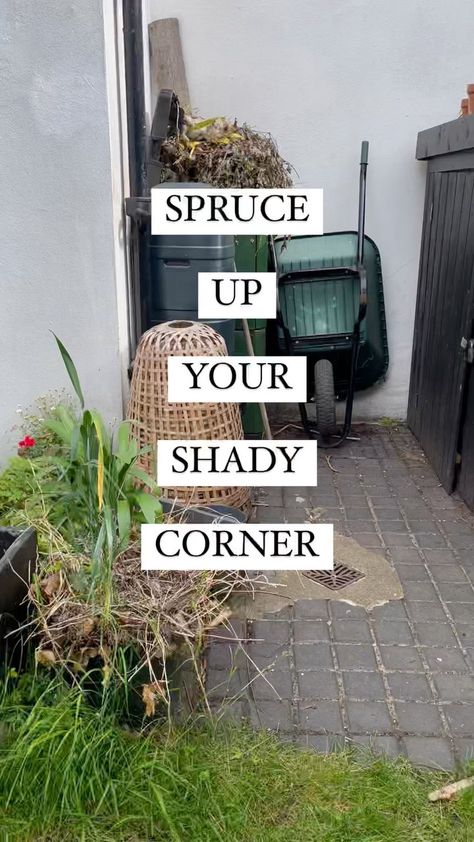 noughticulture on Instagram: AD| How to spruce your shady spot! Tricky shady corners, especially if they're paved, can easily become dumping grounds. I've teamed up… Ideas For Shady Corner Of Garden, Shady Garden Corner Ideas, Shady Corner Garden Ideas Backyards, Shady Garden Ideas Uk, Shady Corner Garden Ideas, Shady Garden Ideas, Shady Backyard Ideas, Corner Garden Ideas, Garden Ideas Uk