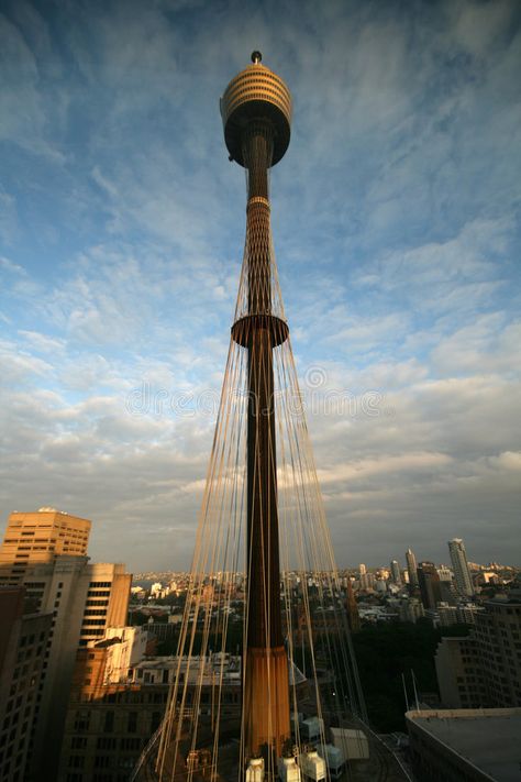 Sydney tower. Sydney city tower at sunset , #Ad, #tower, #Sydney, #sunset, #city #ad Sydney Sunset, Sydney Tower, Simple Flyer, Sydney City, Sunset City, Cn Tower, Flyer Design, Sydney, Photo Image