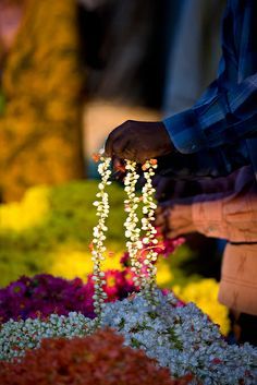 Mysore Flower Market - India Amazing India, India Photography, Elizabeth Gilbert, We Are The World, Mysore, South India, Angkor, Incredible India, Flower Market