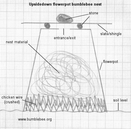 Bumble Bee House Diy, Bumblebee House, Nesting Box Plans, Bumble Bee Nest, Bee Nest, Slate Shingles, Tiny Garden Ideas, Bee Houses, Raising Bees