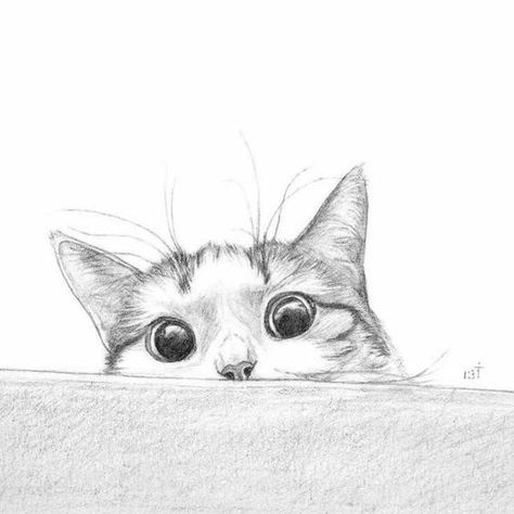 Persian Cat Drawing, Cat Drawings, Farm Projects, Hidden Pictures, Mini Drawings, Persian Cat, Book Art Drawings, Cat Tattoo, Cat Drawing