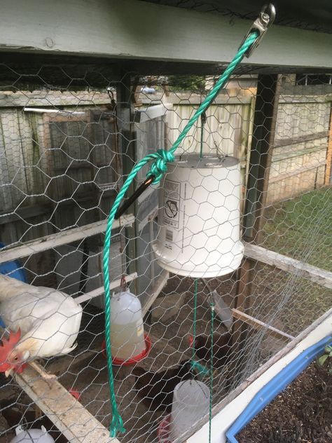 How To Keep Rats Out Of Chicken Coop, Rat Proof Chicken Coop, Mouse Proof Chicken Feeder, Rodent Proof Chicken Feeder, Rat Proof Chicken Feeder, Chicken Feeder Ideas, Duck Feeder, Chicken Feeder Diy, Getting Rid Of Rats