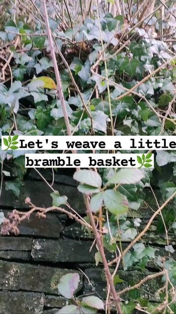 Vine Weaving, Bird Nests, How To Weave, A Frog, Making Things, Bramble, Bird Nest, Craft Projects, The Voice