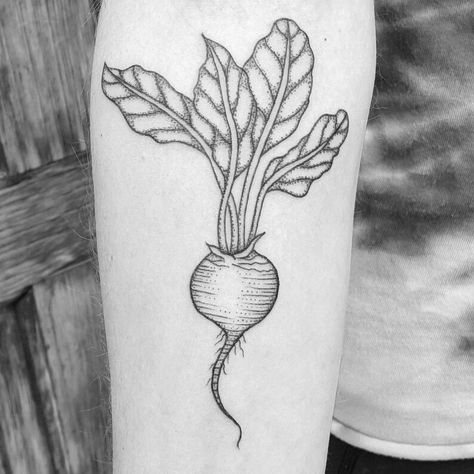 black beet vegetable illustration tattoo Beets Tattoo, Rutabaga Tattoo, Black Raspberry Tattoo, Tomato Tattoo Black, Veg Tattoo, Beet Drawing, Vegetable Tattoo Ideas, Radish Spirit Tattoo, Radish Tattoo