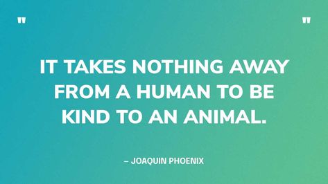 Animal Rights Quotes, Fundamental Rights, Animal Pins, Animal Drawing, All About Animals, Animal Rights, Animal Quotes, Dog Quotes, Be Kind