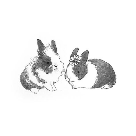 Bunny Drawings, Black And White Bunny, Bunny Sketches, Black And White Rabbit, Bunny Tattoo, Christian Drawings, Cute Family Pictures, Fluffy Rabbit, Rabbit Drawing