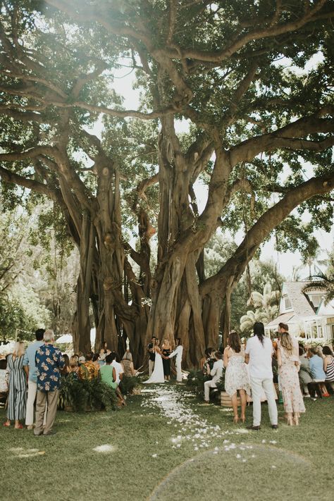 Waimea Kauai, Boho Destination Wedding, Boho Wedding Ceremony, Wedding Ceremony Ideas, Boho Tropical, Kauai Wedding, Cottage Wedding, Tropical Hawaii, Engagement Inspo