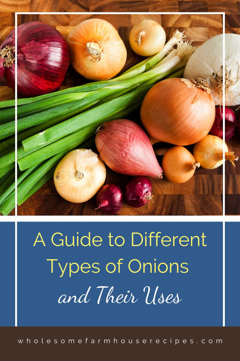 different varieties of onions Onion Types, Types Of Onions, Few Ingredients, Baking Tips, Onions, Cooking Tips, Different Types, Around The World, Things To Come