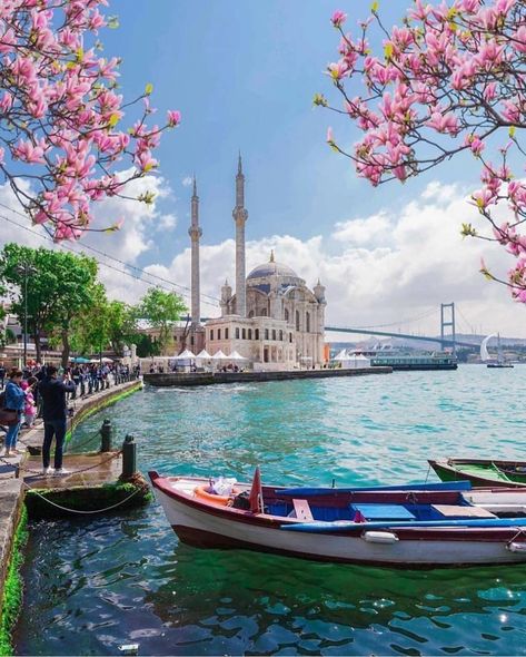 [New] The 10 Best Travel Today (with Pictures) #Travel Istanbul Turkey Photography, Travel Istanbul, Istanbul Photography, Painting References, Turkey Photos, Istanbul Travel, Color Illustration, Beautiful Mosques, Shiva Shakti