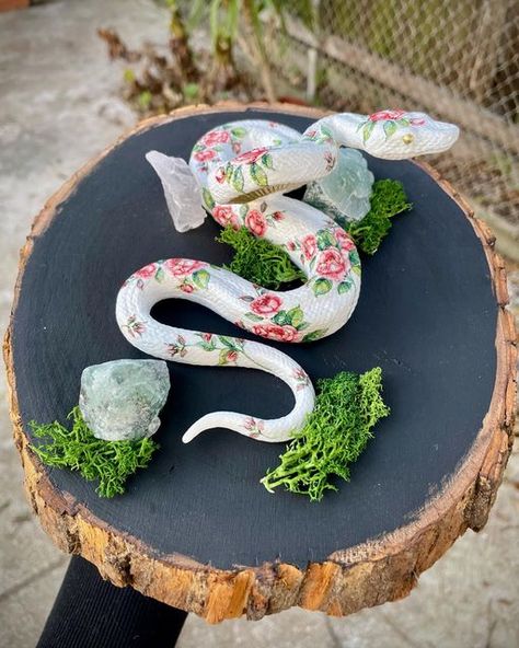 Snake Taxidermy Art, Diy Faux Taxidermy, Fake Taxidermy Diy, Cute Taxidermy, Faux Taxidermy Diy, Taxidermy Diy, Dark Gifts, Creepy Cute Art, Cabinet Of Curiosity