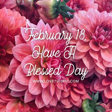 Daily Greetings, Day Pictures, Daily Word, Tumblr Image, Blessed Day, Social Networking Sites, Facebook Image, Have A Blessed Day, Pictures Images