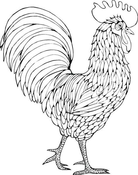 Rooster Printable, Chicken Drawing, Rooster Painting, Rooster Print, Chicken Crafts, Chicken Painting, Coloring Pages Inspirational, Rooster Art, Colouring Page