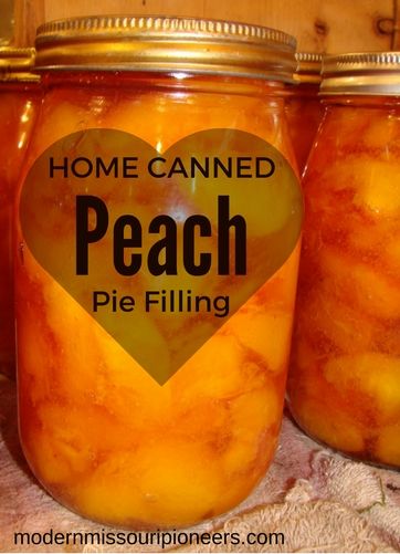 Peach Pie Filling, home canned goodness and convenience.  A step by step how-to. Canned Peach Pie Filling, Canned Peach Pie, Canning Peach Pie Filling, Peach Pie Filling Recipes, Nectarine Pie, Fried Peach Pies, Peach Dumplings, Plum Jam Recipes, Canned Spaghetti Sauce