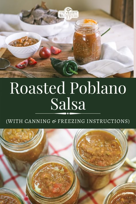 Roasted Poblano Salsa (with canning instructions) Canning Poblano Sauce, Roasted Salsa Canning Recipe, Pablano Pepper Canning, Poblano Canning Recipes, Preserve Poblano Peppers, Roasted Poblano Salsa, Preserving Pablano Pepper, Canning Poblano Peppers, Pablano Pepper Canning Recipes