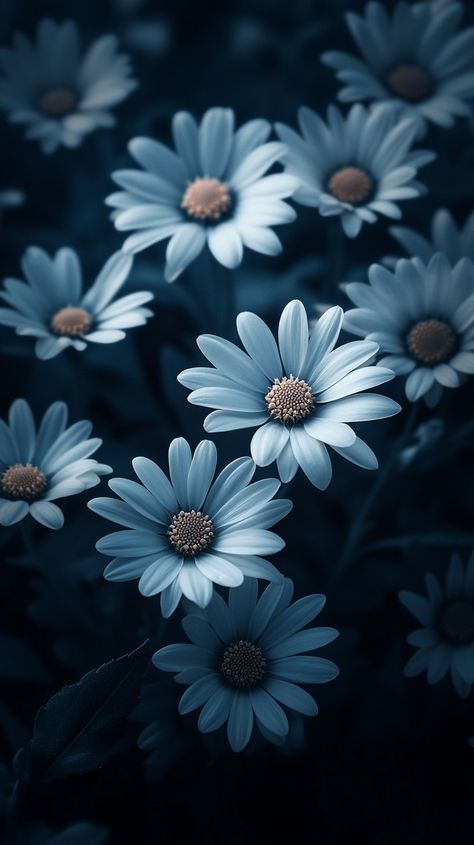 "Moody floral display: A collection of #daisies with a striking #blue hue, offering a surreal and #tranquil aesthetic. #flowers #moody #garden #aiart #aiphoto #stockcake ⬇️ Download and 📝 Prompt 👉 https://stockcake.com/i/moody-floral-display_1181161_187623" Moody Photography Aesthetic, Moody Floral Aesthetic, Flowers Dark Aesthetic, Dark Moody Flowers, Dark Blue Flowers Aesthetic, Dark Moody Florals, Moody Blue Photography, Tranquil Aesthetic, Moody Garden