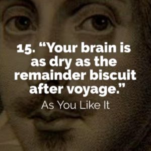 15 Hilarious Insults from Shakespeare You Should be Using Funny Shakespeare Quotes, Shakespeare Funny, Insulting Quotes, Famous Book Quotes, William Shakespeare Quotes, Shakespeare Quotes, Architecture Quotes, French Quotes, Change Quotes