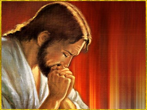 JESUS CHRIST Jesus Gif, Images Of Christ, Jesus Praying, Christian Images, Jesus Face, Pictures Of Jesus Christ, In Christ Alone, Jesus Christ Images, Jesus Lives