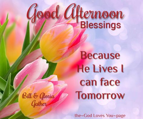 Tuesday Afternoon Blessings, Monday Afternoon Blessings, Afternoon Delight Quotes, Afternoon Blessings, Good Afternoon Memes Humor, Tuesday Afternoon, Monday Afternoon, Good Afternoon, God Loves You