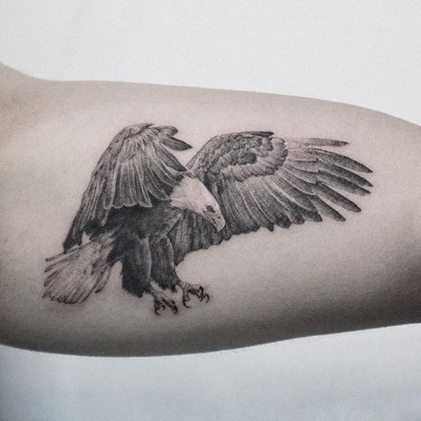 A falcon tattoo is one of the most visually appealing options available for those who desire an innately masculine piece. Their eye-catching poise is accompanied by invaluable cultural and spiritual sentiments. To let your body art fly towards the heavens, your next inking should definitely be a falcon tattoo. #tattoo #tattoodesign #tattooing #tattoolover # tattoo ideas # tattoo beauty # tattoo aesthetics # falcon tattoo ideas # inspiring falcon tattoo ideas # falcon tattoo on elbow #falco Arrow Tattoo Arm, Tattoo On Elbow, Eagle Tattoo Arm, Tattoo Aesthetics, Small Eagle Tattoo, Falcon Tattoo, Unique Half Sleeve Tattoos, Vogel Tattoo, Tattoo Placements