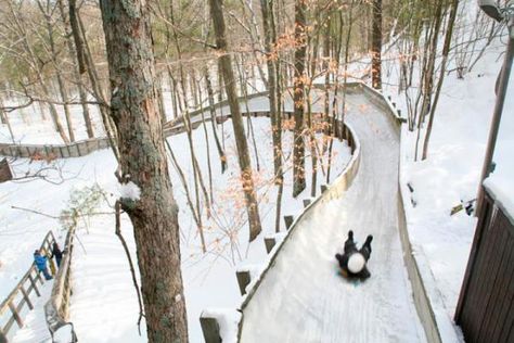 7 Hotspots for a Michigan Winter Adventure | Midwest Living Michigan Winter, Michigan Adventures, Michigan Road Trip, Michigan Vacations, Cold Weather Activities, Midwest Living, Michigan Travel, Luge, State Of Michigan