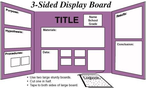 Science Project Poster, Project Poster Board, Science Fair Board Layout, Science Fair Poster, Tri Fold Poster Board, Science Fair Board, Science Fair Projects Boards, Cool Science Fair Projects, Fair Poster