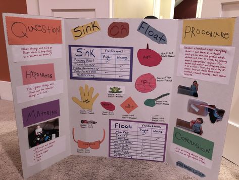 Sink Or Float Science Fair Project, Stem Fair Projects, Tri Fold Poster Board, Tri Fold Poster, Science Fair Projects Boards, Kindergarten Word Families, Science Word Wall, Science Kids, Sink Or Float