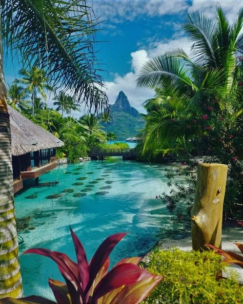 Bora Bora Aesthetic, Bora Bora Pictures, Tahiti Bora Bora, Bora Bora Vacation, Bora Bora Island, Dream Vacations Destinations, Dream Places, Royal Life, Dream Travel Destinations