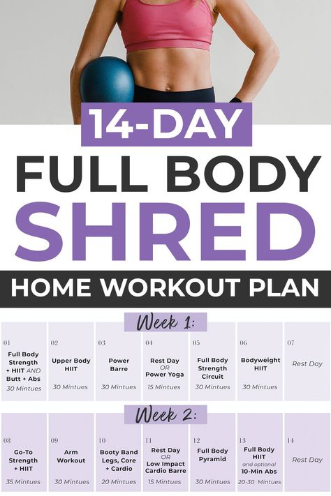 Workout Routine For Beginners, Postpartum Workout Plan, Shred Workout, Full Body Hiit, Full Body Workout Plan, Hiit Workout Routine, Advanced Workout, Full Body Hiit Workout, Workout Routines For Beginners