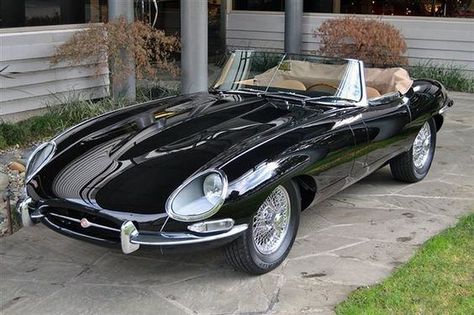 JAGUAR -E Type | por Alfonso Irene Cars Reference, Xke Jaguar, Jaguar Xke, Jaguar Type, Tata Motors, Jaguar Xk, British Sports Cars, Classic Vehicles, Jaguar Car