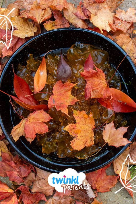 Use this creative recipe to prompt children's imaginative play in an outside mud kitchen. Perfect to use during autumn months, the card shows the natural materials and instructions to make some autumn leaf soup! Place the recipe and a selection of autumnal natural materials into continuous provision to inspire children's mud kitchen creations. Follow the link to try out this fall themed activity today! Outside Mud Kitchen, Continuous Provision, Autumn Activities For Kids, Kitchen Recipe, Mud Kitchen, Autumn Leaf, Autumn Activities, Kitchen Recipes, Creative Food