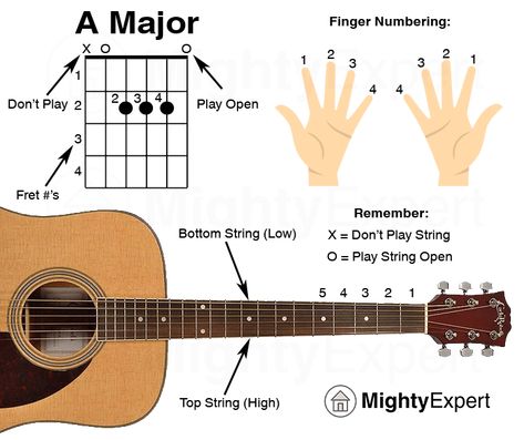 Easy Guitar Songs A Major Chord - Guide Graphic (MightyExpert) Simple Guitar, Learn Acoustic Guitar, Guitar Songs For Beginners, Guitar Learning, Learn Guitar Chords, Basic Guitar Lessons, Music Theory Guitar, Guitar Lessons Songs, Easy Guitar Songs