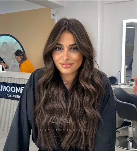 Dark Brown Hair With A Money Piece, Low Lights In Brunettes, Dark Brown Hair Front Highlights, Level 6 Base With Balayage, Dimensional Brunette Pale Skin, Brown Ash Balayage Hair, Dark Hair With Brown Lowlights, Dark Hair With Subtle Blonde Highlights, Dark Mushroom Brown Balayage