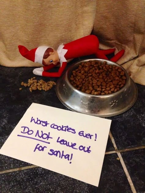 Poor Christmas, Elf On Shelf Notes, Reindeer Pet, Elf Ideas Easy, Elf Pets, Elf Activities, Xmas Elf, Elf Fun, Elf Ideas