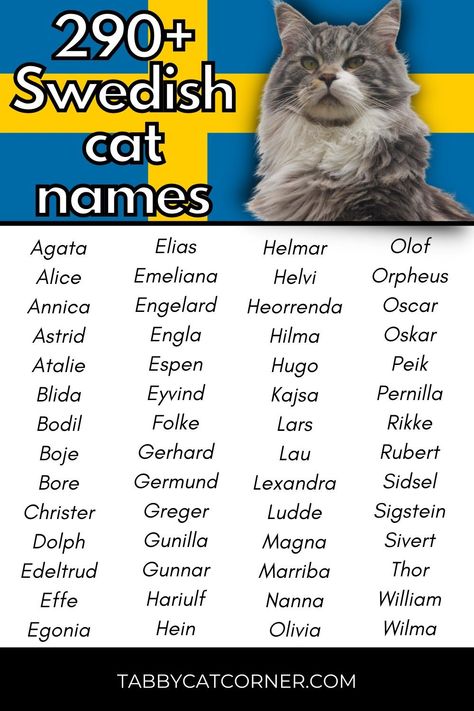 Cat Name Ideas, Swedish Names, Cute Cat Names, Kitten Names, Cat Holidays, Name List, Name Ideas, Cat Names, Character Names