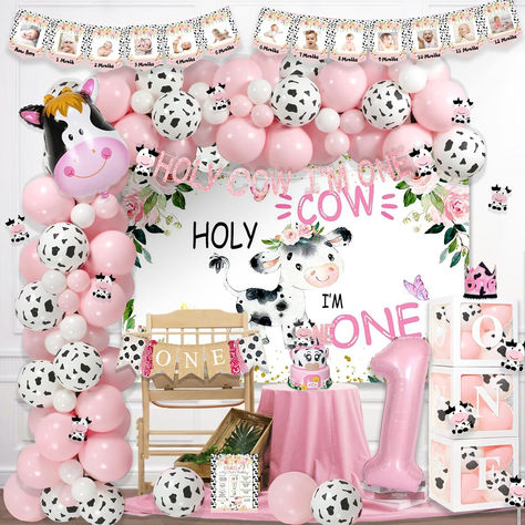 Holy Cow Birthday Party Ideas, Holy Cow I’m One Girl, One Year Old Birthday Decorations, Cow First Birthday Party, Cow 1st Birthday Girl, Cow First Birthday Girl, Holy Cow Im One Birthday Girl, First Birthday Girl Decorations, Holy Cow I’m One