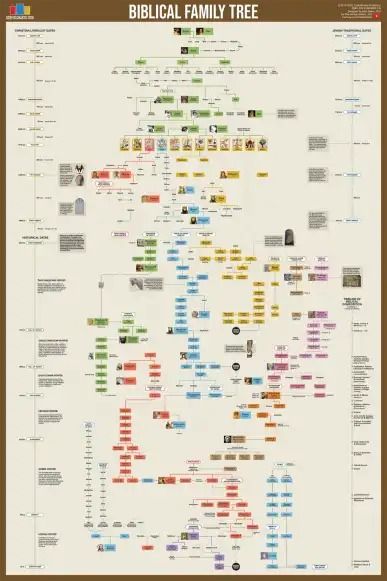 Biblical Family Tree | Viz.Bible Jesus Family Tree, Biblical Timeline, Bible Family Tree, Genealogy Tree, Matt Baker, Youtube Creator, Jesus Of Nazareth, Bible Characters, Bible Quotes Prayer