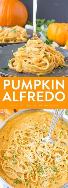 Creamy Pumpkin Alfredo - A perfect fall dinner that's easy enough for a weeknight meal and you'll never miss the cream! Pumpkin Alfredo, Fall Recipes Pumpkin, Resep Pasta, Pumpkin Recipes Easy, Resep Salad, Fall Dinner, Idee Pasto Sano, Alfredo Sauce, Easy Pumpkin