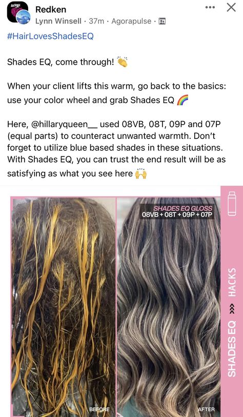 Shades Eq Level 7 Formulas, Shades Eq Toner Formulas To Cancel Orange, Level 8 Toner Formula, Shades Eq Level 8 Toners, Toner Formulas Redken, Redken Shades Eq Formulas To Cancel Orange, Redken Toner Formula For Brassy Hair, Tone Orange Brassy Hair Shades Eq, Level 8 Shades Eq Formula