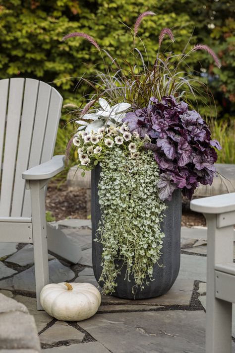 Fall Container Plants, Fall Pots, Summer Planter, Fall Container Gardens, Fall Containers, Container Garden Design, Porch Planters, Potted Plants Outdoor, Grasses Landscaping