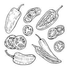 Jalapeno Drawing, Inktober 2023, Vector Hand, Image Types, Vector Free, Vector Illustration, How To Draw Hands, Drawings