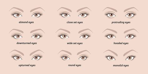 Your Ultimate Guide to Identifying your Eye Shape – Nikkia Joy Cosmetics Upturned Eyeliner, Winged Makeup, Eye Shape Chart, Upturned Eyes, Different Types Of Eyes, Protruding Eyes, Wide Set Eyes, Shape Chart, Deep Set Eyes