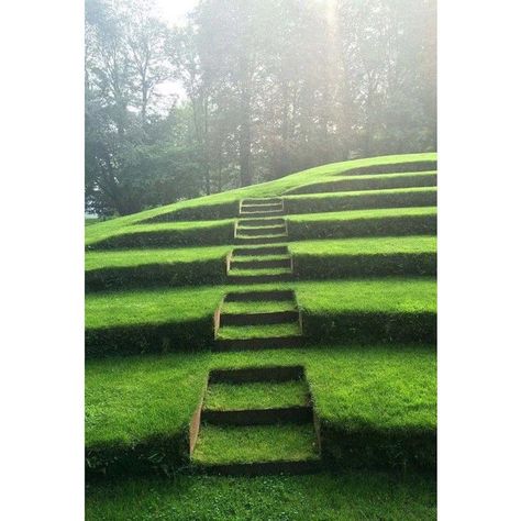 Melissa Sutton on Instagram: “1=2” Modern Yard, Garden Stairs, Sloped Garden, Garden Steps, Modern Landscape Design, Yard Design, Modern Landscaping, Alam Yang Indah, Garden Paths