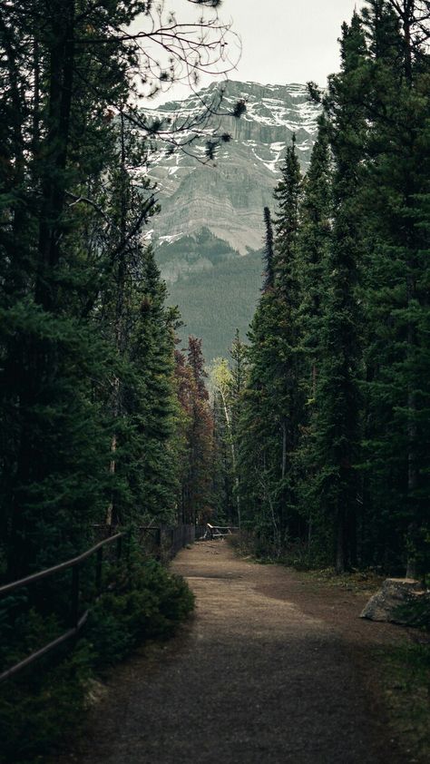 Dark Forest Aesthetic, Game Aesthetic, Forest Aesthetic, Wallpaper Earth, Forest Trail, Katherine Mcnamara, Forest Wallpaper, Beautiful Landscape Wallpaper, Creepy Art